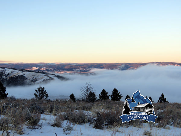 Above the Fog